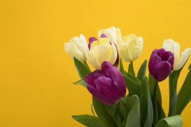 Lale çiçek kartpostal