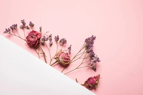 Karte mit getrockneten Blumen — Stockfoto