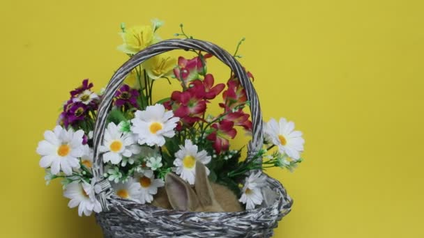 Kaninchen auf den Blumen. — Stockvideo