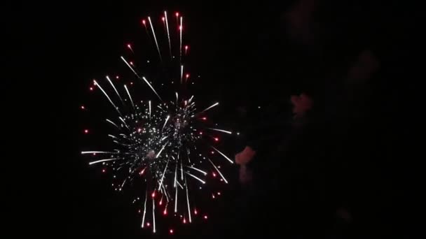 Résumé fond de feu d'artifice de couleur — Video