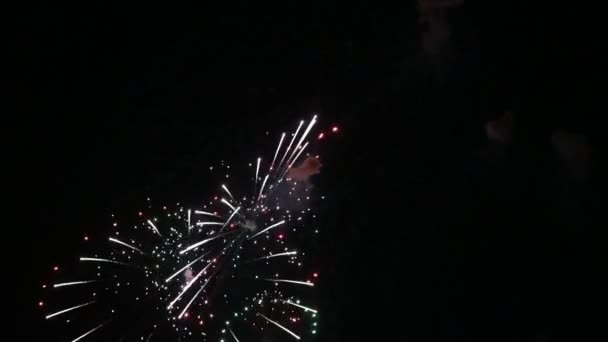 Résumé fond de feu d'artifice de couleur — Video