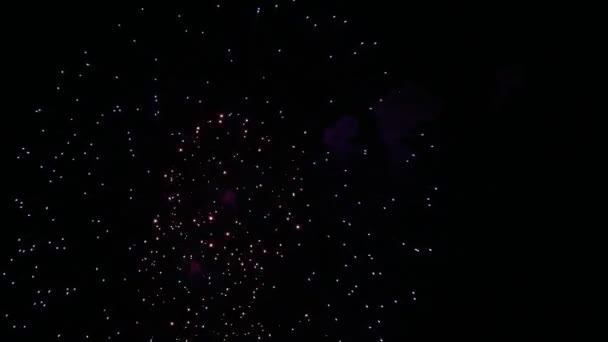 Abstrato fundo fogo de artifício colorido — Vídeo de Stock