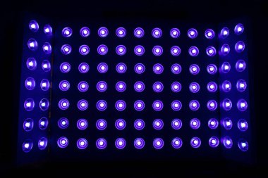 Siyah odada soyut Led Light duvarı