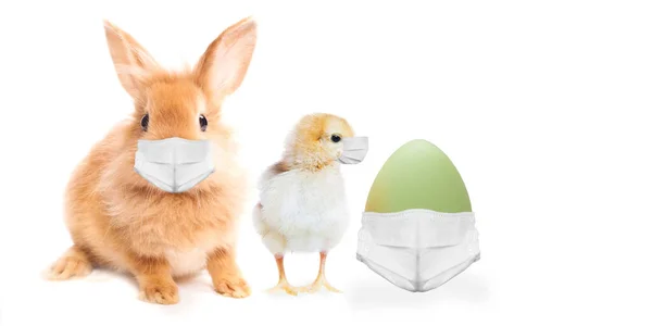 Påskharen, ägg och kyckling bär ansiktsmasker. Påsk gratulationskort. Registrering om Coronavirus för 2020. — Stockfoto