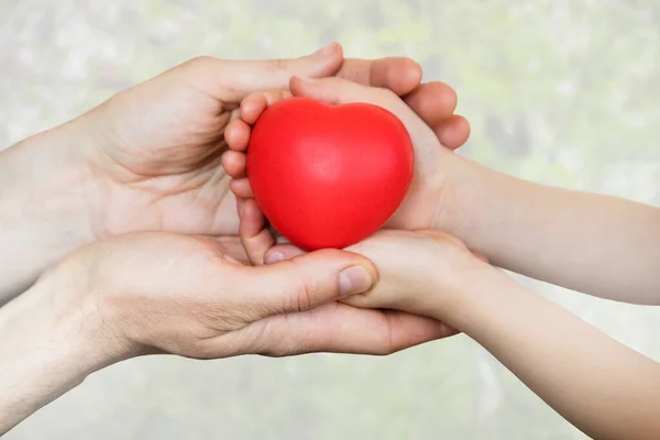 Heart in hands on light background. Healthcare background.