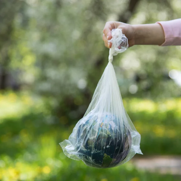 Globe in a white plastic bag. Concept of an environmental disaster.