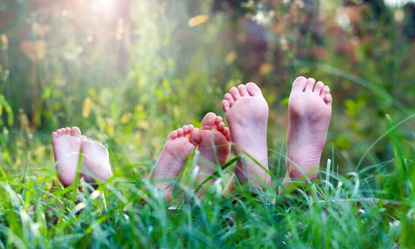 Ноги в траві — стокове фото