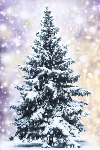 Kerstboom kleuren achtergrond — Stockfoto