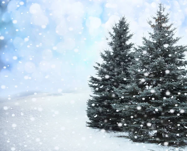 Albero di Natale nella foresta invernale — Foto Stock