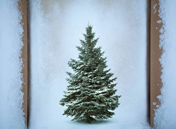 Noel ağacı renk arka plan — Stok fotoğraf