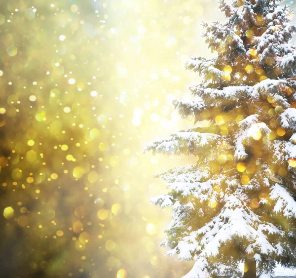 Χριστουγεννιάτικο δέντρο χρώματα φόντου — Φωτογραφία Αρχείου