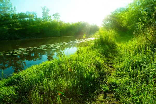 Morning on the river — Stock Photo, Image