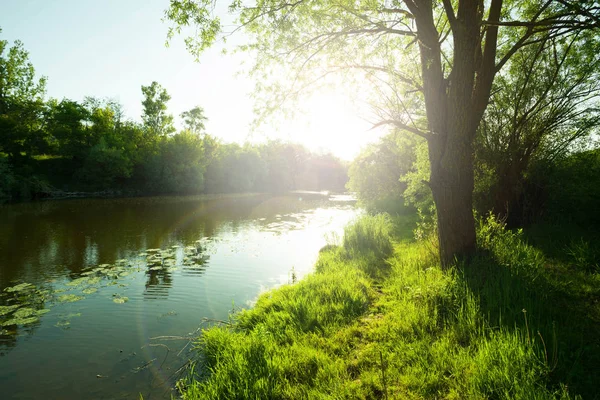 Morning on the river — Stock Photo, Image