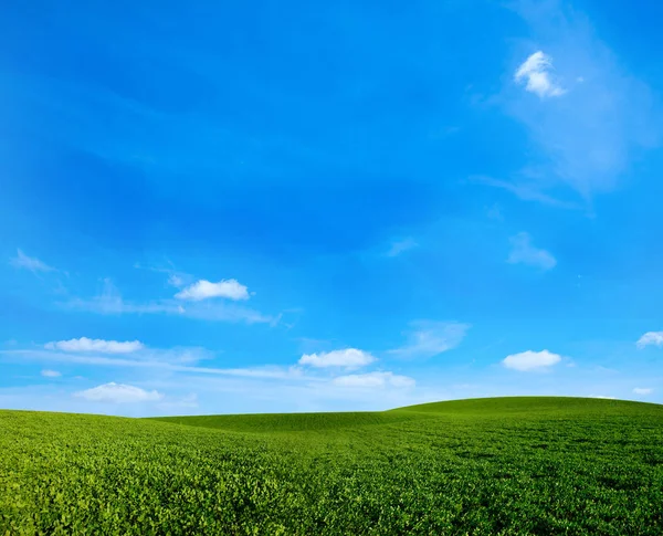 Mavi gökyüzünün altındaki yeşil çayır — Stok fotoğraf