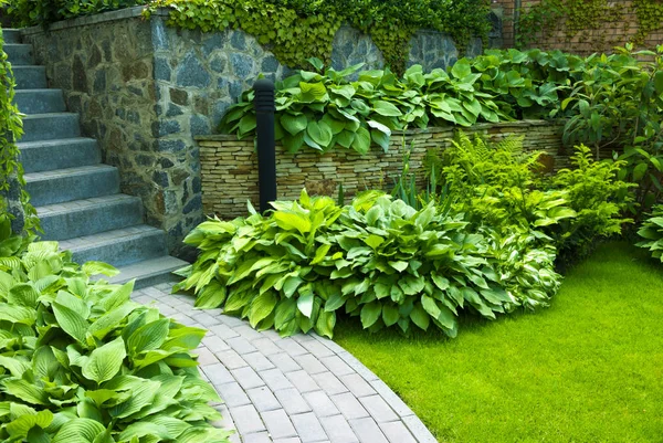 Détail d'un jardin botanique . — Photo