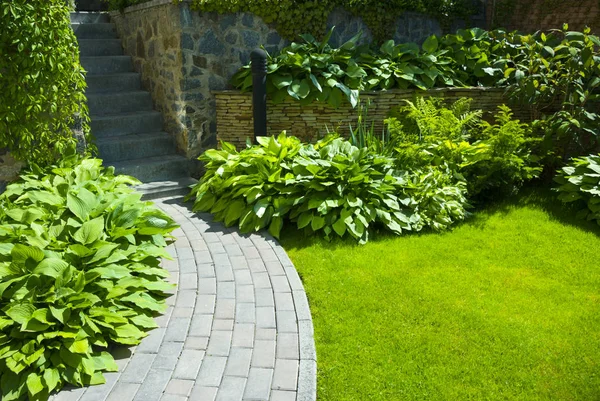 Detalhe de um jardim botânico . — Fotografia de Stock