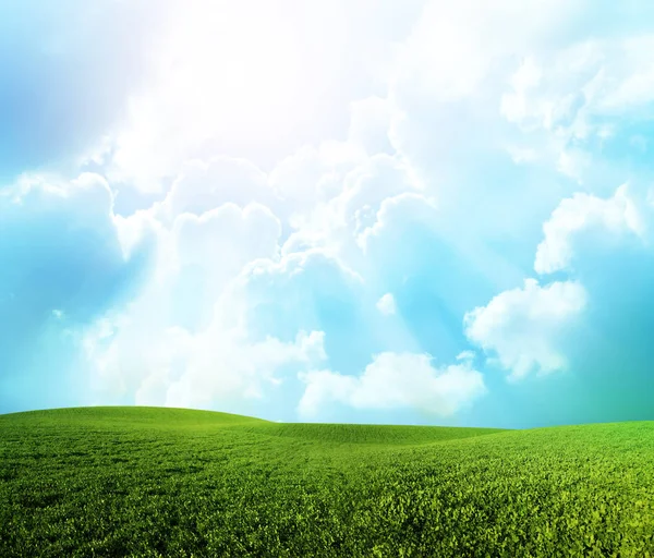 Prado verde sob céu azul com nuvens — Fotografia de Stock