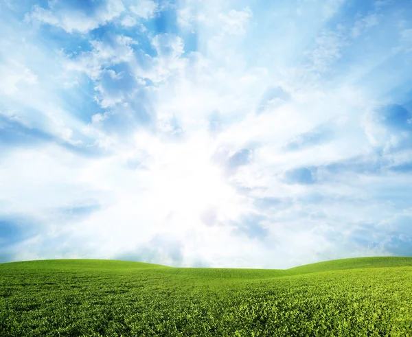 Pradera verde bajo cielo azul con nubes — Foto de Stock