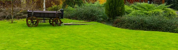 Dettaglio di un giardino botanico . — Foto Stock