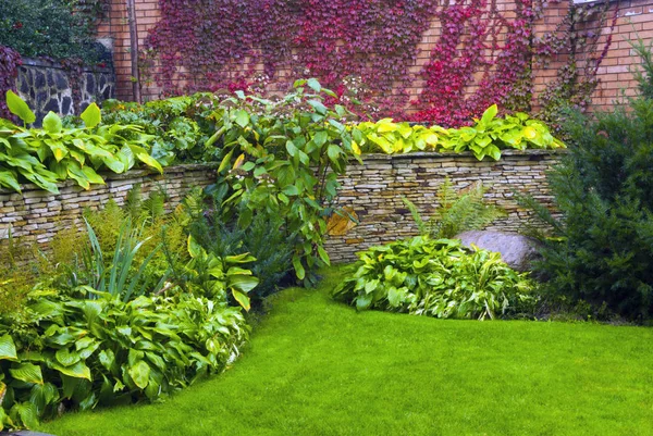 Detalhe de um jardim botânico . — Fotografia de Stock