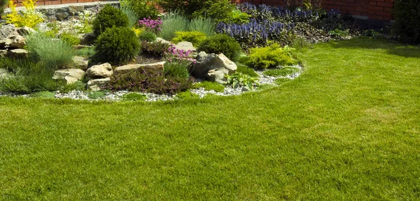 Détail d'un jardin botanique . — Photo