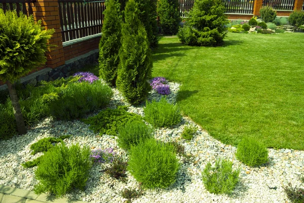 Dettaglio di un giardino botanico . — Foto Stock