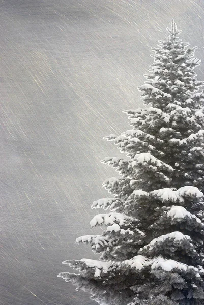 Grunge arka plan üzerinde Noel ağacı — Stok fotoğraf