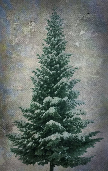 Christmas Tree on grunge background — Stock Photo, Image