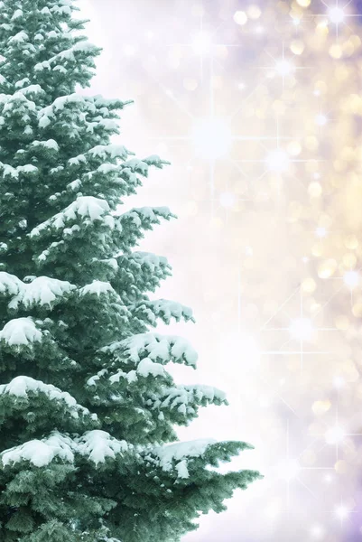 Christmas tree in snow — Stock Photo, Image