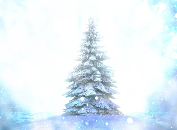 雪とモミの木とクリスマスの風景. — ストック写真