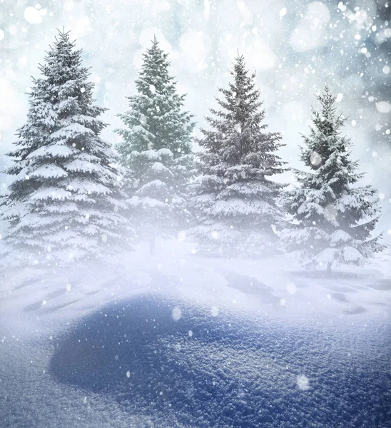 Kerstlandschap met sneeuw en dennenbomen. — Stockfoto