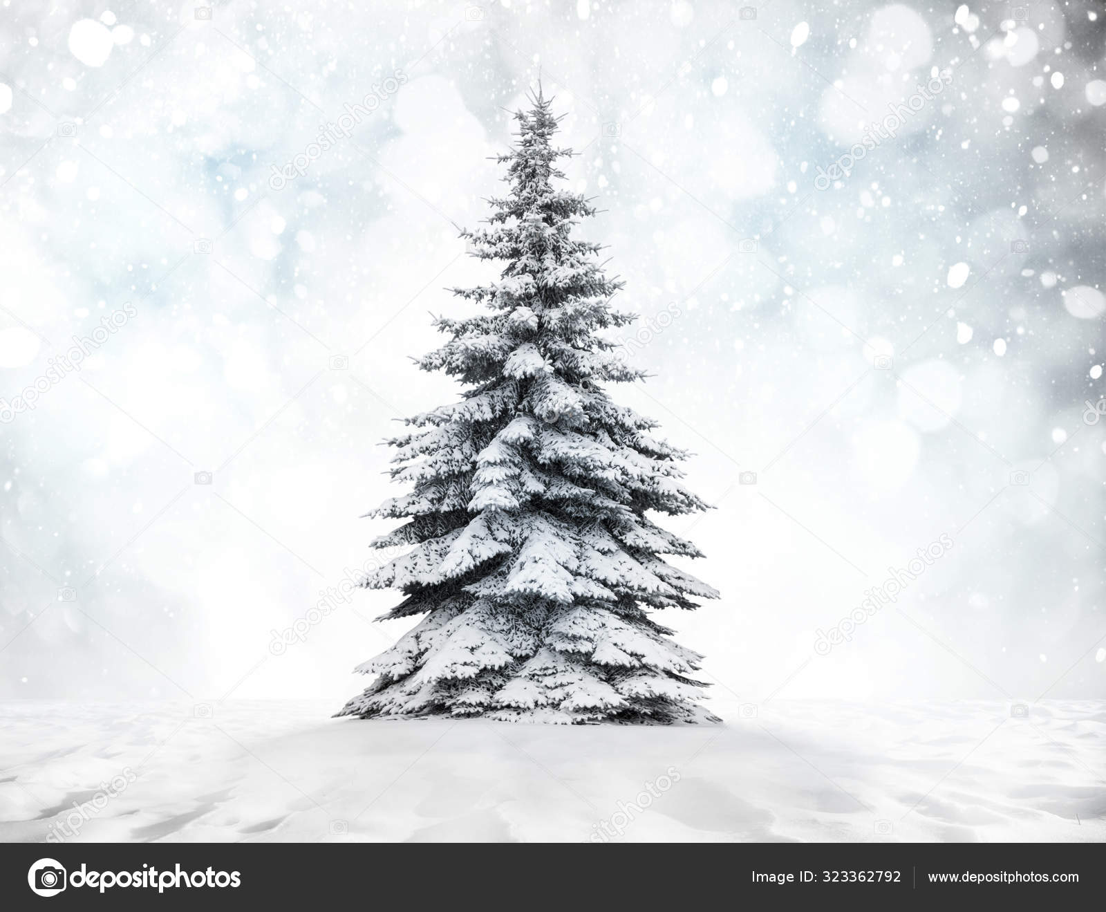 Julelandskap med snø og gran . – stockfoto © volokhatiuk #323362792, image size:1600x1319