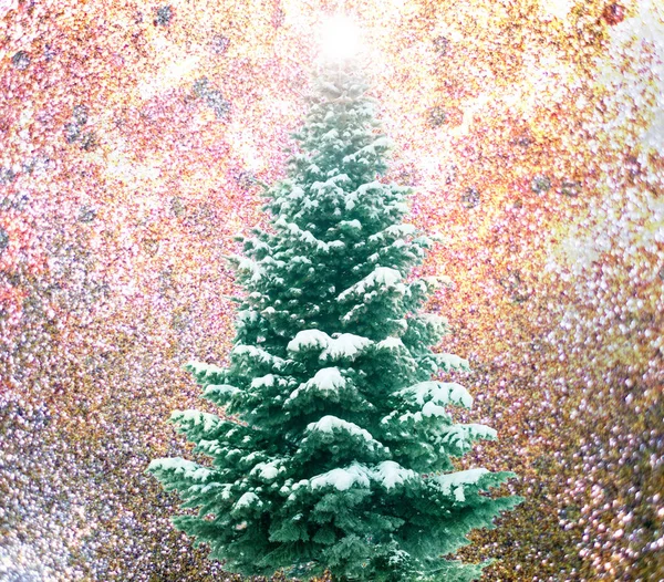 Christmas tree  over colors background — Stock Photo, Image