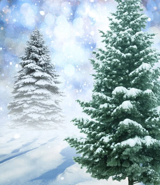 Paysage de Noël avec neige et sapins . — Photo
