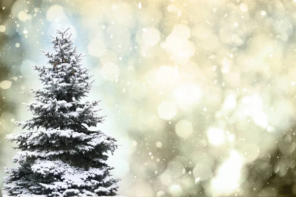 Kerstboom over kleuren achtergrond — Stockfoto