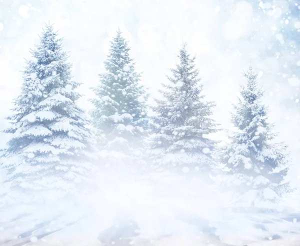Kerstlandschap met sneeuw en dennenbomen. — Stockfoto