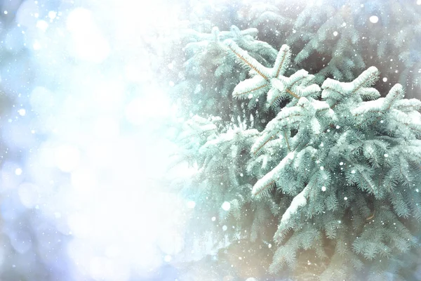 Árbol de Navidad en la nieve, fondo con ramas de abeto —  Fotos de Stock