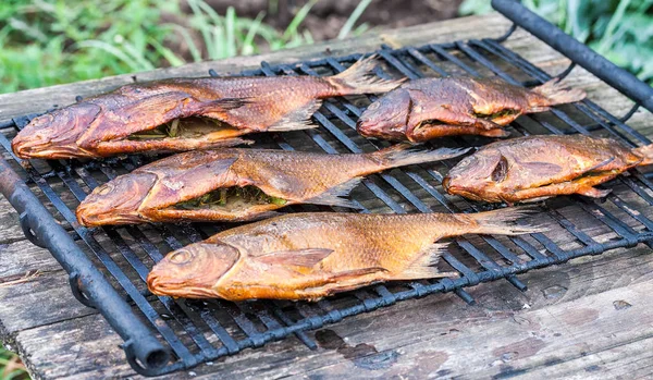 Apenas peixe fresco fumado capturado no rio russo — Fotografia de Stock