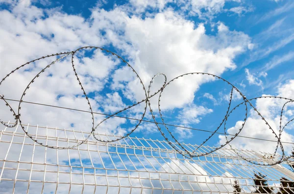 Alambre de púas contra el fondo azul del cielo. Esgrima protectora — Foto de Stock