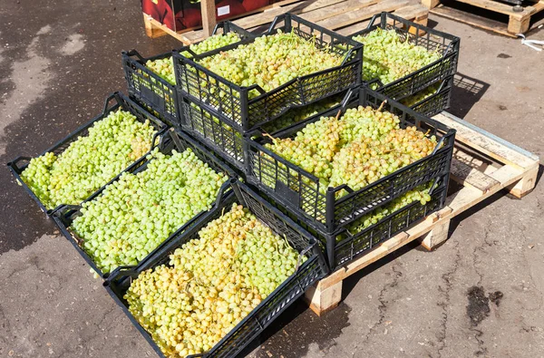 Frische süße Trauben zum Verkauf auf dem Bauernmarkt — Stockfoto