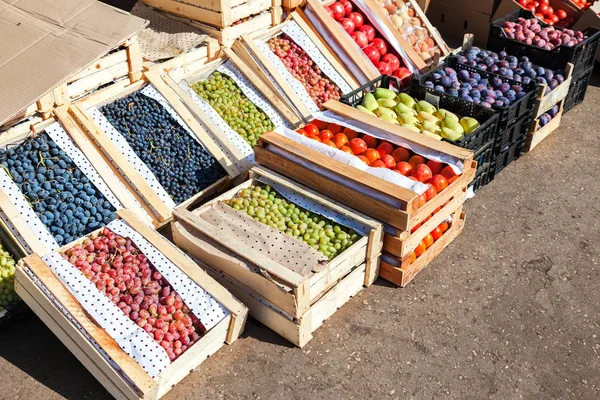 Frutta e verdura fresca biologica in vendita presso il marchio degli agricoltori — Foto Stock