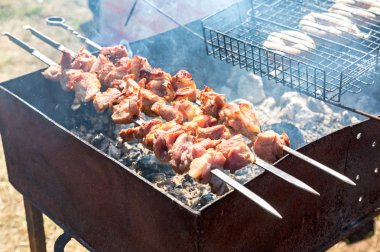 Metal şişler üzerinde iştah açıcı şiş kebap.