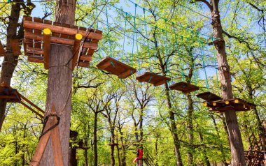 Parkta mavi gökyüzü karşı eğitim parkuru