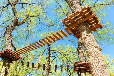 Parkta mavi gökyüzü karşı eğitim parkuru