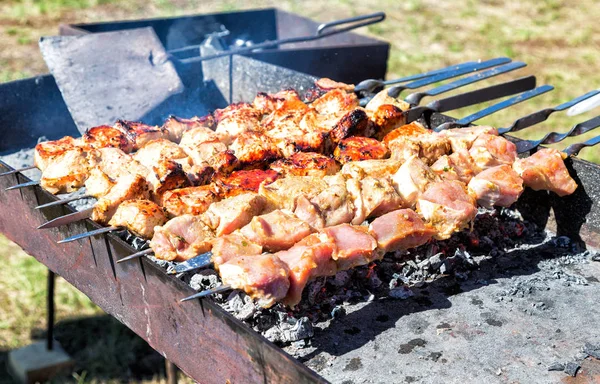 Tranches de viande juteuses avec sauce préparer sur les charbons chauds — Photo