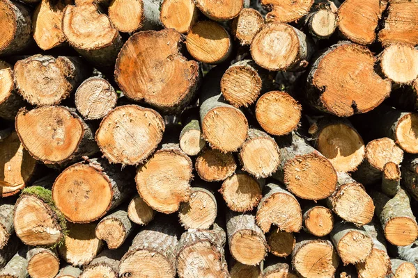 Arka plan olarak doğranmış ve yukarı yığın kuru odun