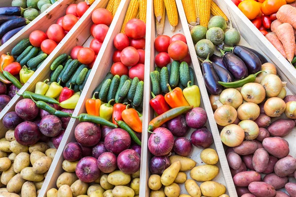 Agricoltura raccolto varie verdure fresche colorate al f — Foto Stock