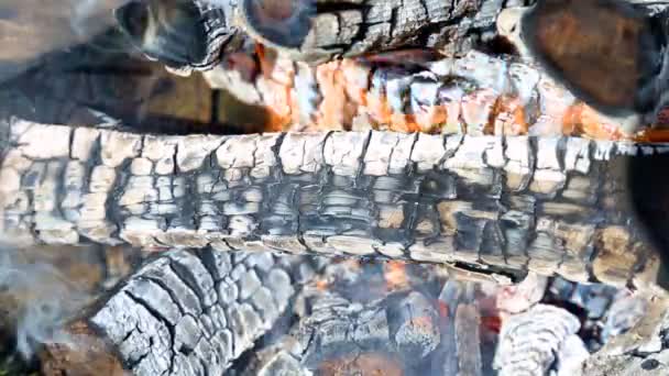 Close-up van hete brandende brandhout in kampvuur. Smeulende timbers — Stockvideo