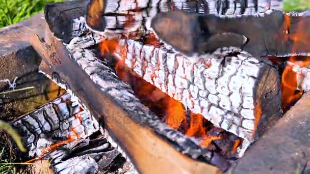 Close-up van hete brandende brandhout in kampvuur. Smeulende timbers — Stockvideo