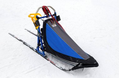 Kışın beyaz kar üzerinde kızak köpek yarışı için kızak